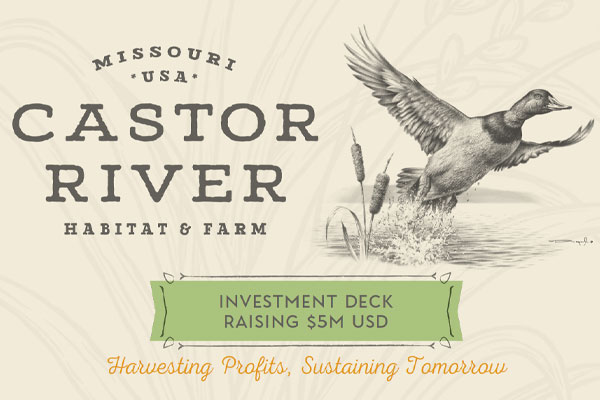 pitchdeck-project-castor-river